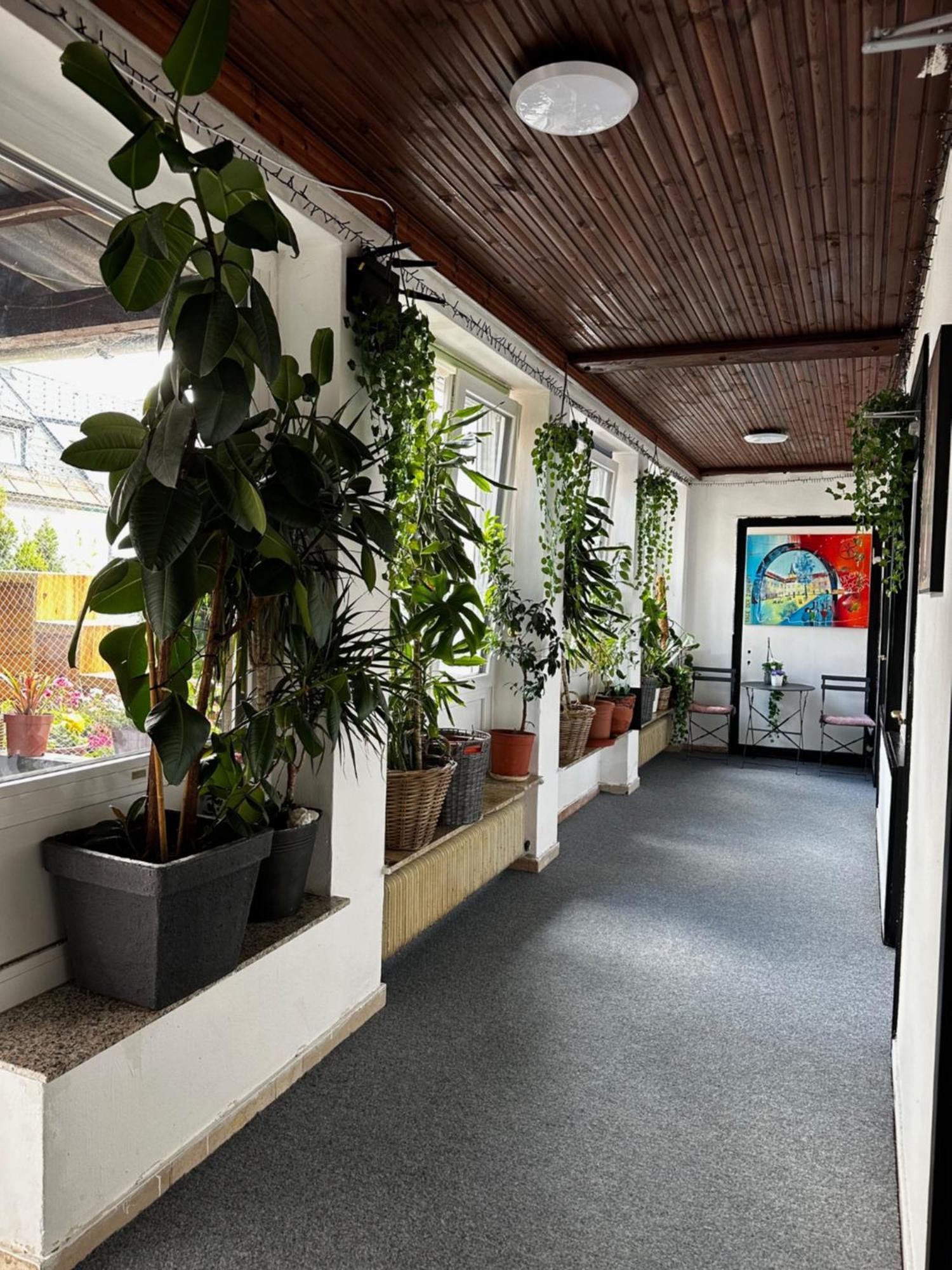 Hostel Lovely Rooms, City Center, Shared Bathroom, Windows To Corridor 菲拉赫 外观 照片