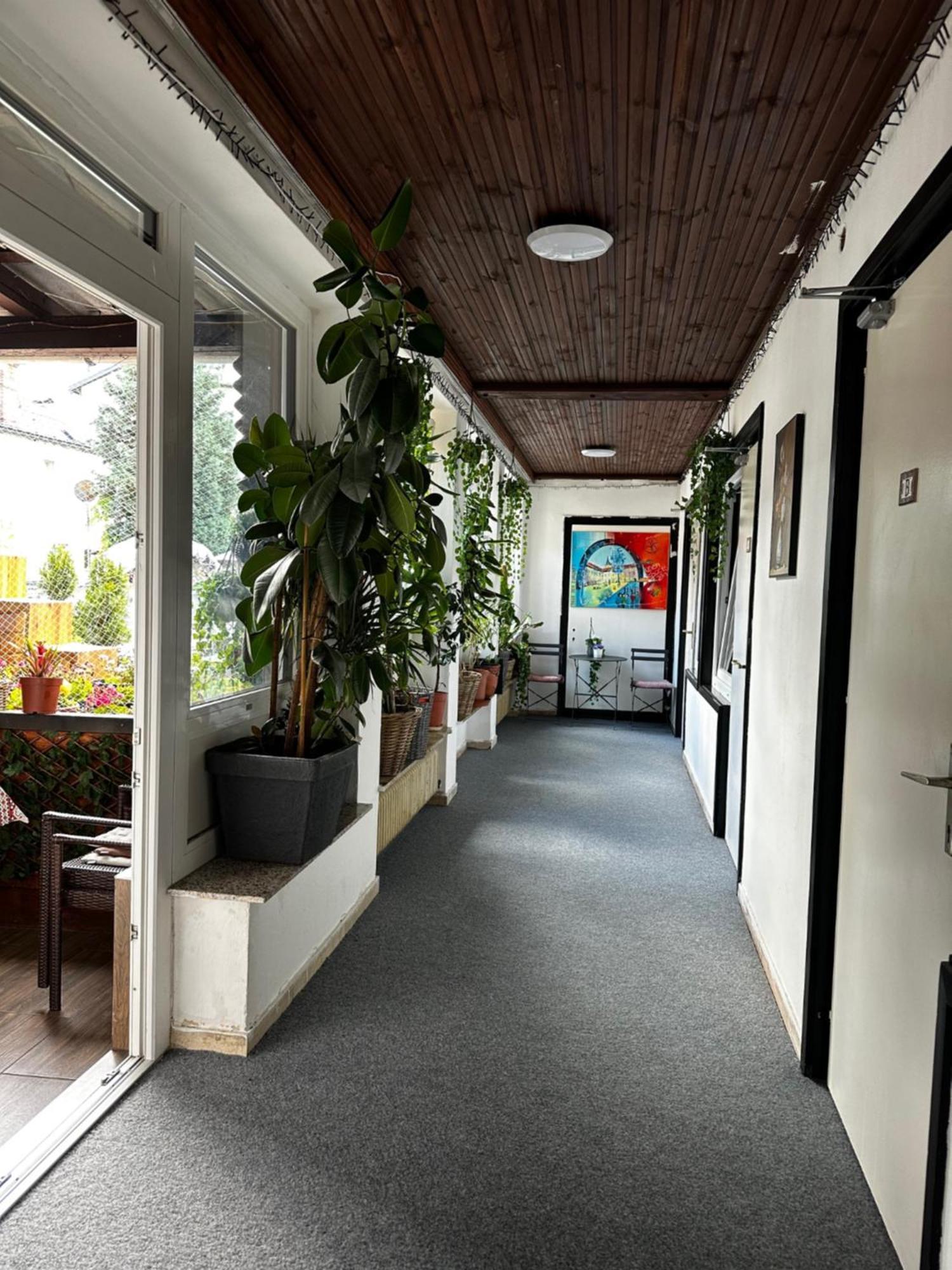 Hostel Lovely Rooms, City Center, Shared Bathroom, Windows To Corridor 菲拉赫 外观 照片